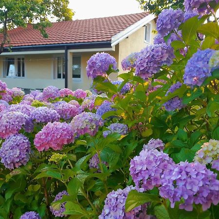 Cvjetni Apartmani Cetinje Luaran gambar