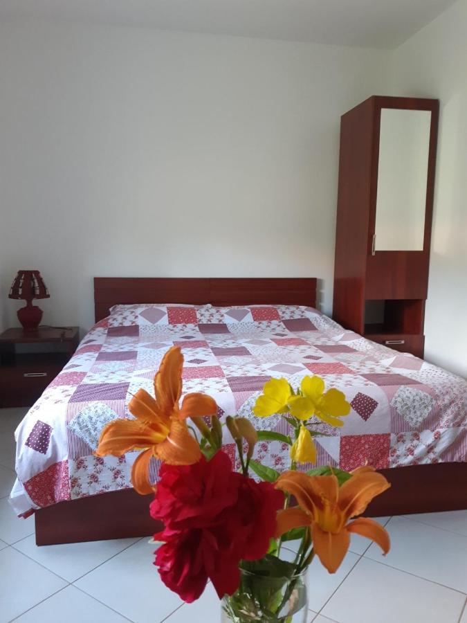 Cvjetni Apartmani Cetinje Luaran gambar