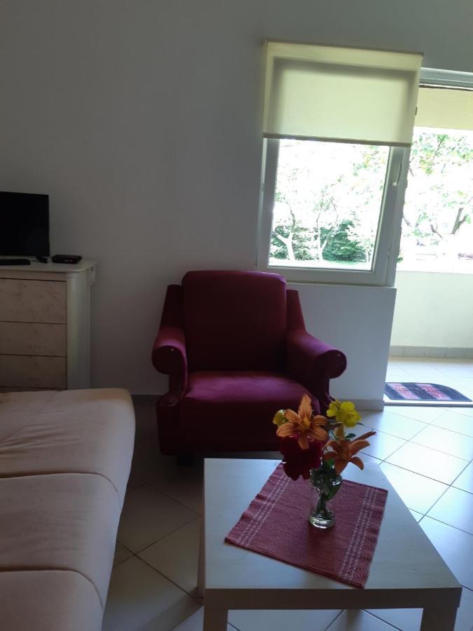 Cvjetni Apartmani Cetinje Luaran gambar