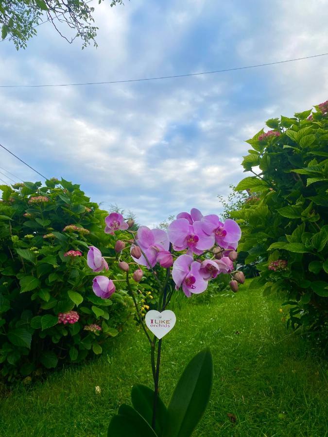 Cvjetni Apartmani Cetinje Luaran gambar