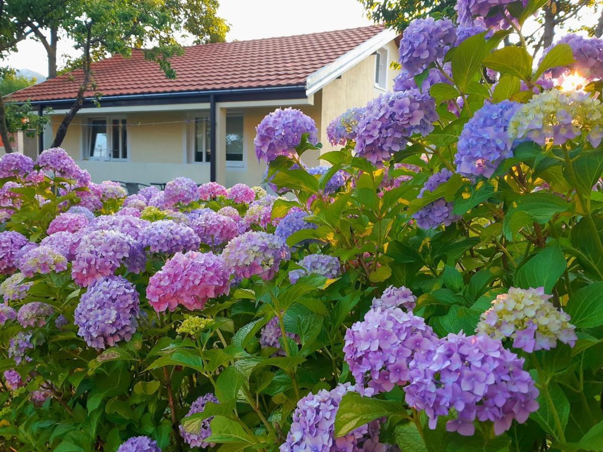Cvjetni Apartmani Cetinje Luaran gambar