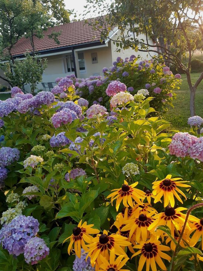 Cvjetni Apartmani Cetinje Luaran gambar