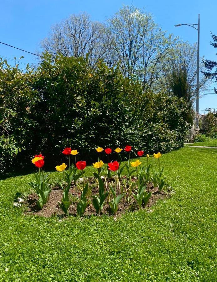 Cvjetni Apartmani Cetinje Luaran gambar