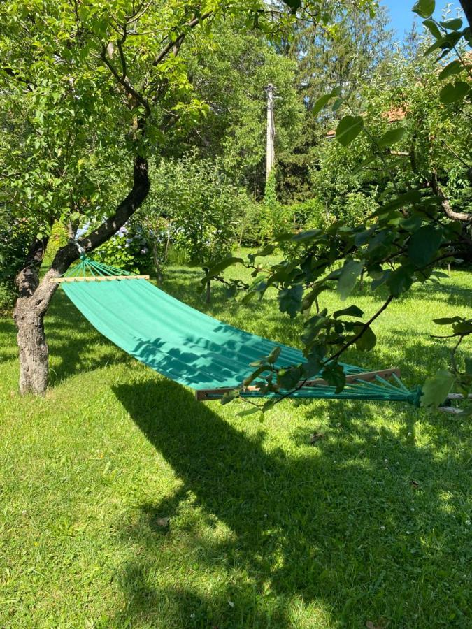 Cvjetni Apartmani Cetinje Luaran gambar