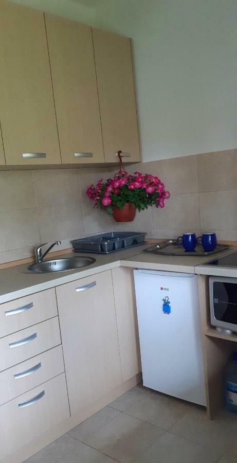 Cvjetni Apartmani Cetinje Luaran gambar