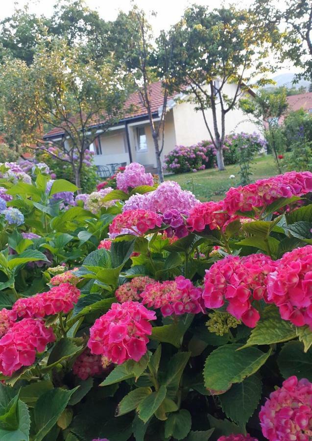 Cvjetni Apartmani Cetinje Luaran gambar